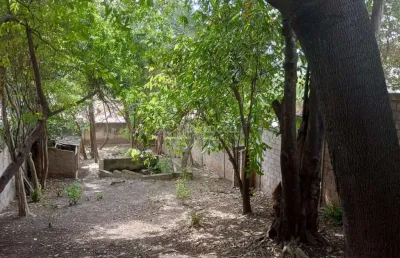 Terreno comercial para alugar na rua piquete, 668, nova campinas, campinas por r$ 3.000