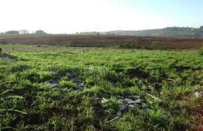 Terreno comercial à venda na maria olga de carvalho alves, 345, betel, paulínia por r$ 1.500.000
