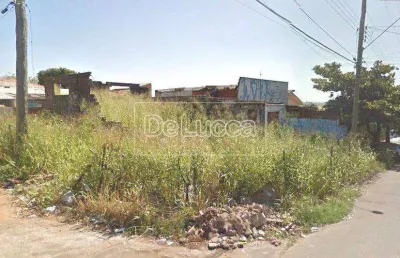 Terreno comercial à venda na rua são cosme, 1500, jardim santa terezinha (nova veneza), sumaré por r$ 500.000