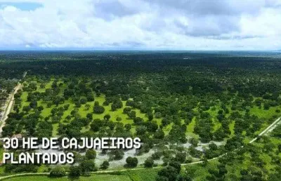 Fazenda à venda na Rod. Brunilo Jacó De Castro E Silva, Patos dos Liberatos, Chorozinho