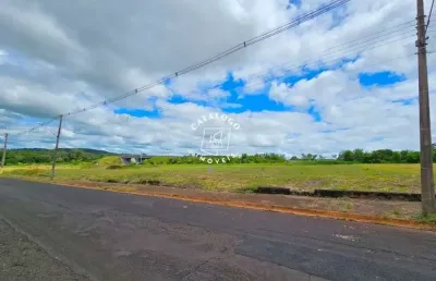 Terreno à venda na avenida professor mário autuori, city ribeirão, ribeirão preto, 4500 m2 por r$ 2.250.000
