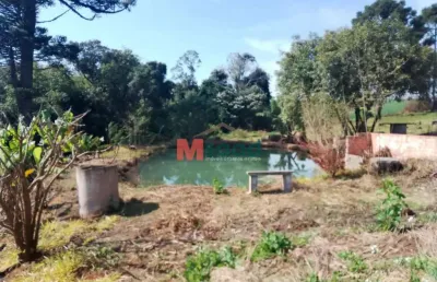 Terreno comercial para alugar na Rua Ambrósio Bricaillo, 788, Chapada, Ponta Grossa
