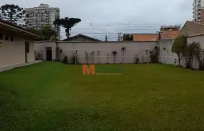Casa com 3 quartos para alugar na Avenida Bonifácio Vilela, 1177, Jardim Carvalho, Ponta Grossa