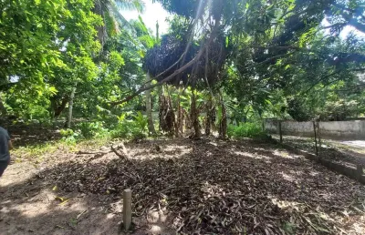 Terreno em condomínio de luxo na praia do forte, mata de são joão-ba: 894m² de oportunidade única!