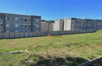 Terreno à venda, 786 m² por r$ 500.000,00 - santa marta - ribeirão preto/sp
