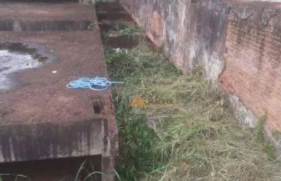 Terreno à venda, 1180 m² por r$ 650.000,00 - campos elíseos - ribeirão preto/sp