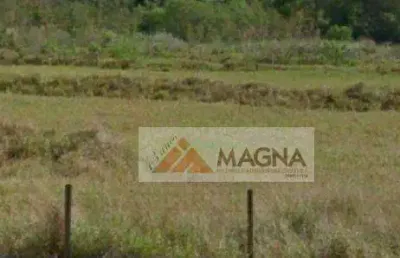 Área à venda, 7772 m² por r$ 3.900.000,00 - vila monte alegre - ribeirão preto/sp