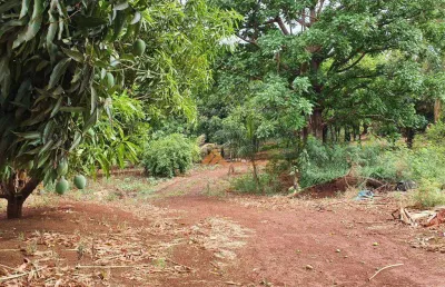 Área à venda, 24000 m² por r$ 11.000.000,00 - alto do ginásio - sertãozinho/sp