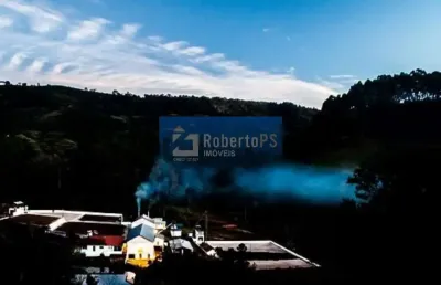 Fazenda de café a venda em minas gerais - conceição do rio verde