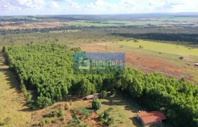 Fazenda com 20 hectares com casa sede de 3 dormitórios no distrito federal