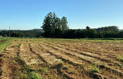 Terreno à venda na Rodovia Mabio Gonçalves Palhano, Gleba Fazenda Palhano, Londrina
