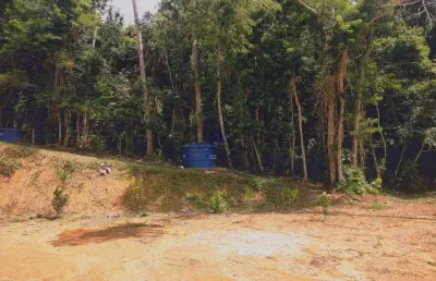 Chácara / sítio à venda no sete pinheiros, natividade da serra  por r$ 70.000