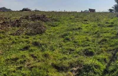 Área rural 28,54 hectares para gado ou plantio - fa1251