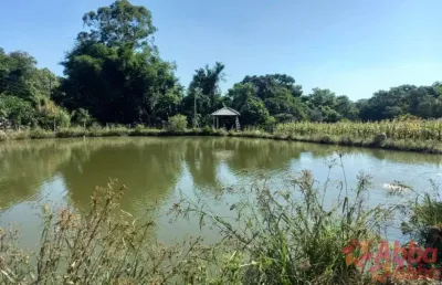 Sítio para venda, linha sete sul 3 quarto(s),  -silveira martins - si1332