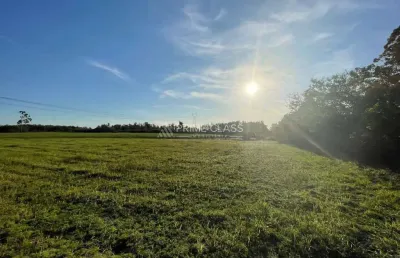 Terreno à venda na porto da figueira, 2, zona rural, nova santa rita por r$ 3.120.000