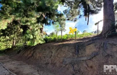 Terreno à venda na Rua Saint Moritz, Fazenda Suiça, Teresópolis