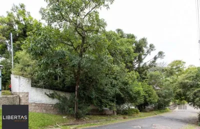 Terreno, 363.78 m², em vila conceição, em região elevada e livre de inundações