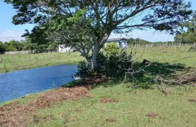 Excelente sítio na capital de 6.737,57 m2, bairro lami, porto alegre rs