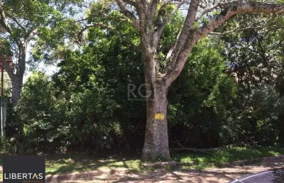Terreno para venda - 0m², 0 dormitórios, teresópolis