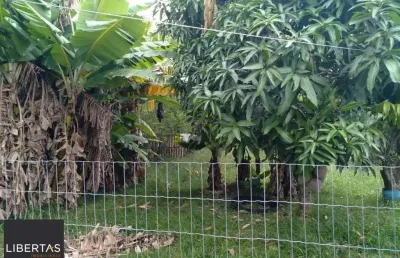 Sítio 3 dormitórios à venda passo do vigário viamão/rs