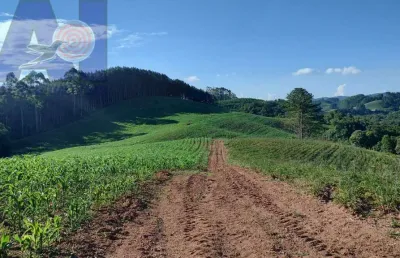 Área à venda em bateias de baixo - campo alegre/sc, rural