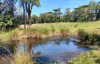 Chácara / sítio com 1 quarto à venda na Zona Rural, Campo Alegre 