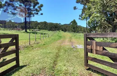Terreno à venda em São Miguel, Campo Alegre 