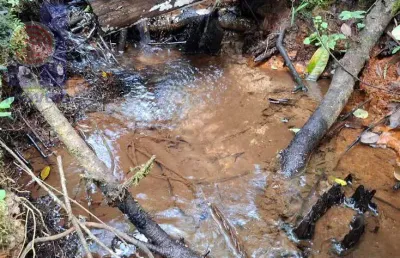 Terreno à venda na Estrada Principal Ribeirão Do Meio, Ribeirão do Meio, Campo Alegre