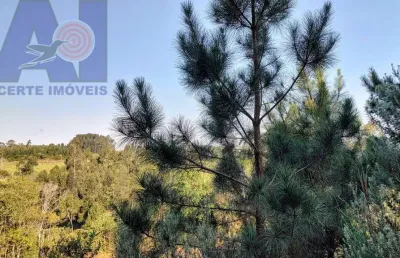 Terreno à venda na Estrada Secundaria Em Bateias De Baixo, Bateias de Baixo, Campo Alegre