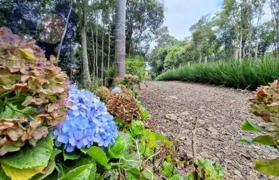 Chácara / sítio com 3 quartos à venda na Estrada Secundaria Em Bateias De Baixo, Bateias de Baixo, Campo Alegre