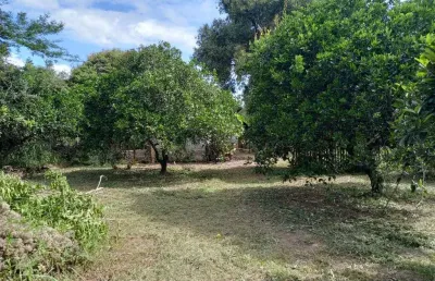 Sitio estrada do socorro bairro socorro municipio de portão rs