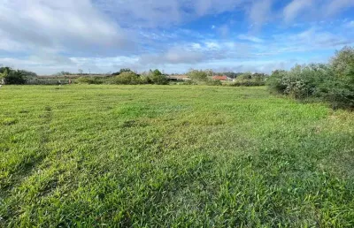 Chácara 5 hectares localizado estrada alcides amorim nova santa rita rs.