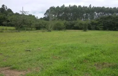 Chácara / sítio com 2 quartos à venda na Rua Manoel Olavo Da Rosa, --, Passo Raso, Triunfo