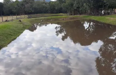 Sitio com 4 hectares no bairro lami em porto alegre - rs