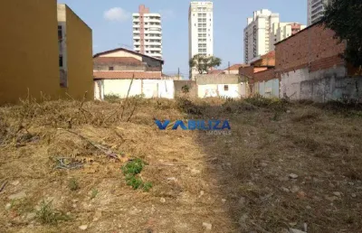 Terreno para alugar, 1000 m² por r$ 8.800,00/mês - vila rosália - guarulhos/sp