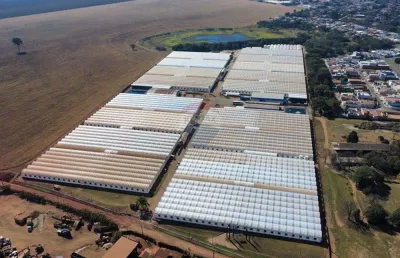 Sítio com estufas para produção de horticultura ou floricultura