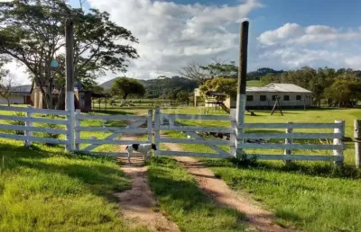 Chácara / sítio com 5 quartos à venda na Avenida Adão Foques, Passo Fundo, Guaíba