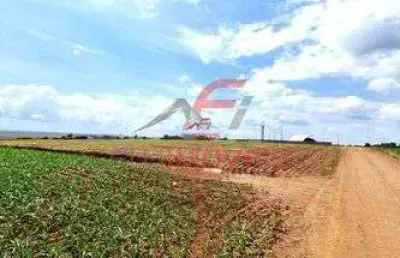 Chacara   propriedade rural    distrito de mandijuba   engenheiro beltrao pr