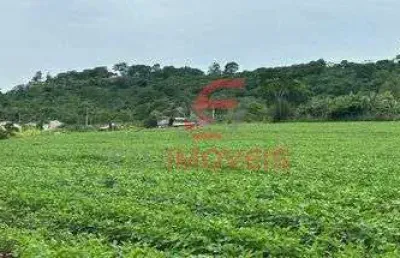 Chacara com 10.000m2 em paicandu   distrito agua boa