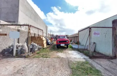 Terreno em parque santa felícia jardim - são carlos