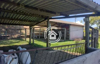 Chácara com 1 dormitório à venda, 6050 m² por r$ 500.000,00 - vertentes das águas - são pedro/sp