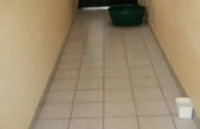 Casa com 3 quartos para alugar na Granja Julieta, São Paulo 