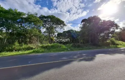 Excelente terreno com 375,00 m², frente avenida asfaltada!