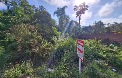 Terreno limpo e aterrado medindo 360,00m² na barra do saí