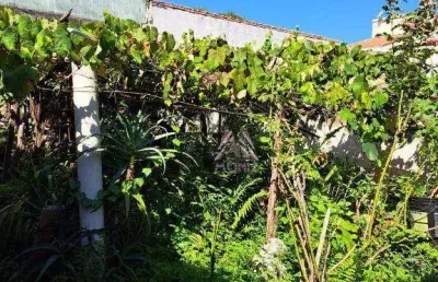 Terreno à venda, 300 m² por r$ 638.000,00 - paulicéia - são bernardo do campo/sp