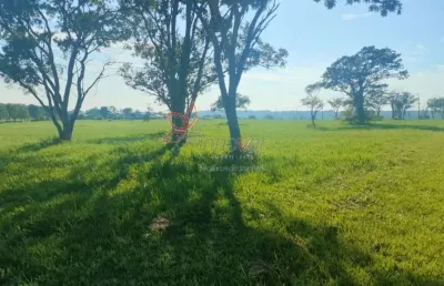 Terreno à venda na Zona Rural, Arealva 