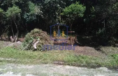 Terreno à venda na rua joanita xavier braz, jardim são fernando, itanhaém, 2400 m2 por r$ 238.000