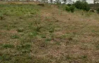 Área à venda, 27000 m² por r$ 3.000.000,00 - quarta divisão - ribeirão pires/sp
