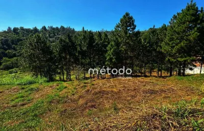 Terreno à venda, 10068 m² por r$ 295.000,00 - ponte alta - guararema/sp