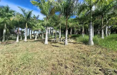 Terreno à venda, 4750 m² por r$ 320.000,00 - parque agrinco - guararema/sp